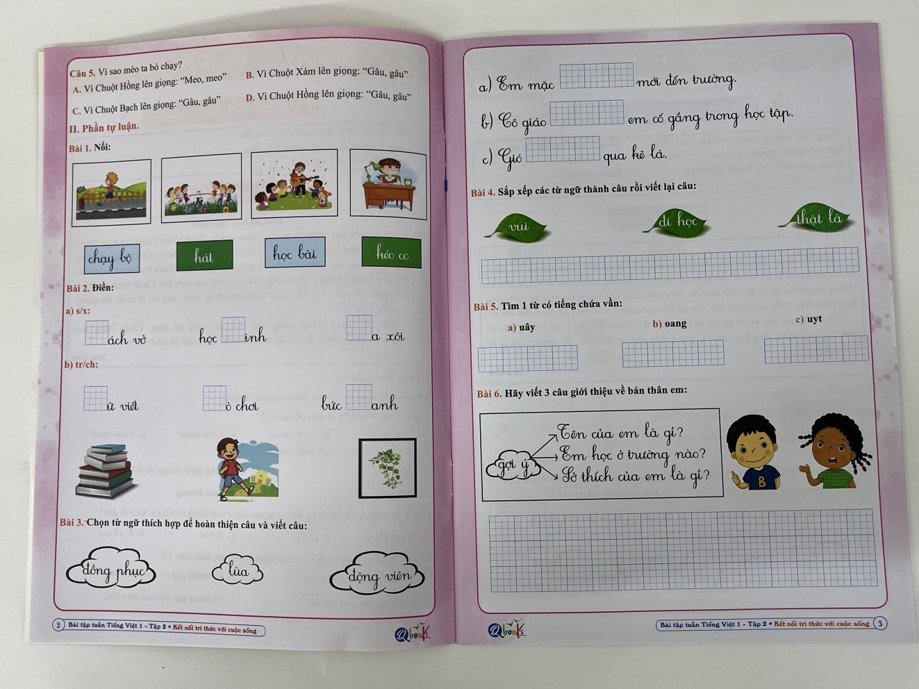 z4352037061225_39b1915cd4de538ae6826a3ace5f3a6a