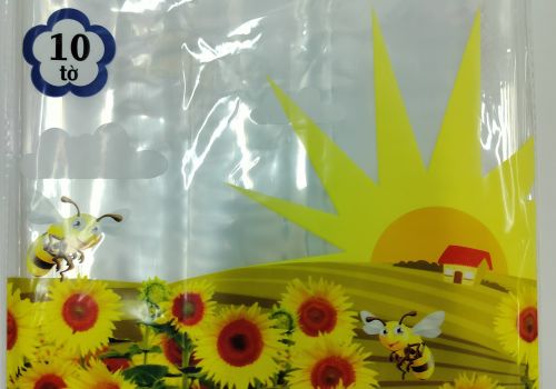 Bọc SGK và vở ô ly 170*240mm